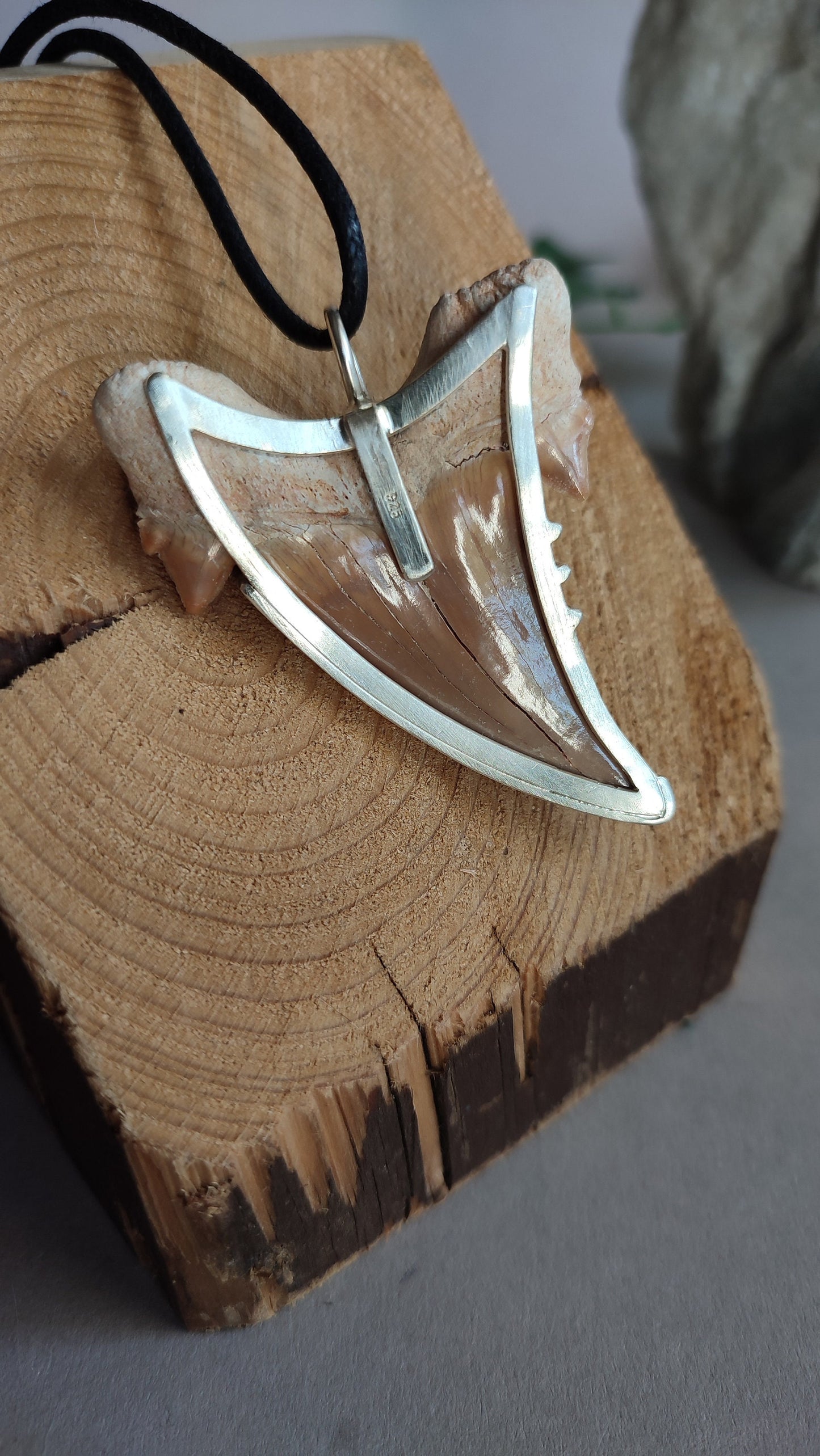 Eocene Era Tooth  - Dinosaur pendant