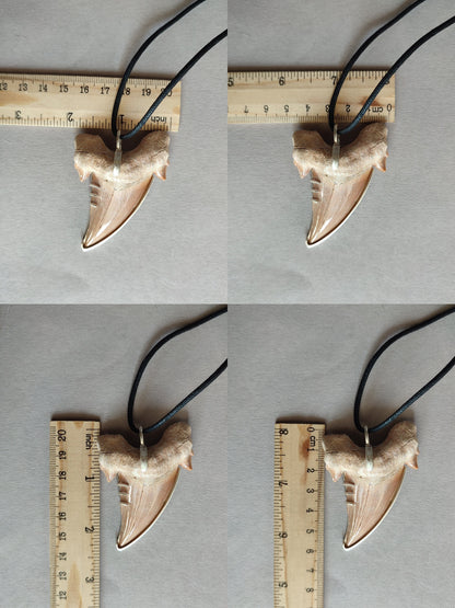Eocene Era Tooth  - Dinosaur pendant